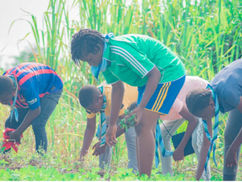 Young Scouts from Togo take part in a reforestation project. They carefully plant young shoots in a field, under the benevolent gaze of an overcast sky. Their colorful jerseys stand out against the surrounding green, illustrating their dynamism and commitment to the environment.
