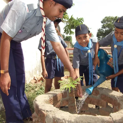 Scouts watering plants